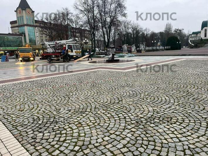 В центре Калининграда устанавливают новую ёлку со встроенной иллюминацией (фото, видео) - Новости Калининграда | Фото: «Клопс»