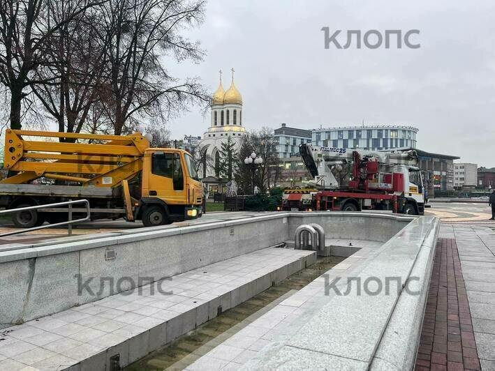 В центре Калининграда устанавливают новую ёлку со встроенной иллюминацией (фото, видео) - Новости Калининграда | Фото: «Клопс»