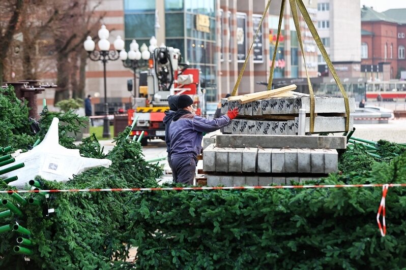На площади Победы в Калининграде начал расти каркас будущей новогодней ёлки (фоторепортаж)  - Новости Калининграда | Фото: Александр Подгорчук / «Клопс»