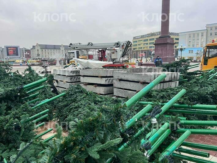 В центре Калининграда устанавливают новую ёлку со встроенной иллюминацией (фото, видео) - Новости Калининграда | Фото: «Клопс»