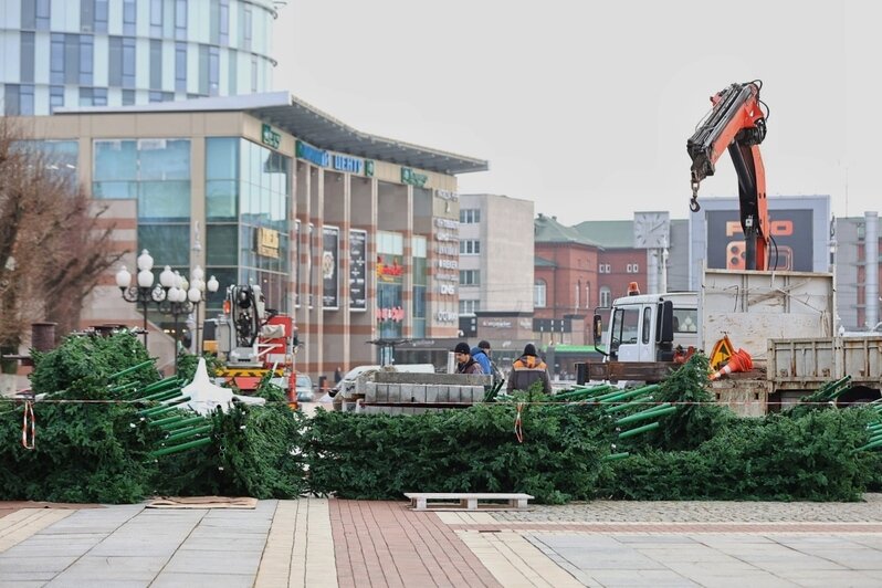 На площади Победы в Калининграде начал расти каркас будущей новогодней ёлки (фоторепортаж)  - Новости Калининграда | Фото: Александр Подгорчук / «Клопс»