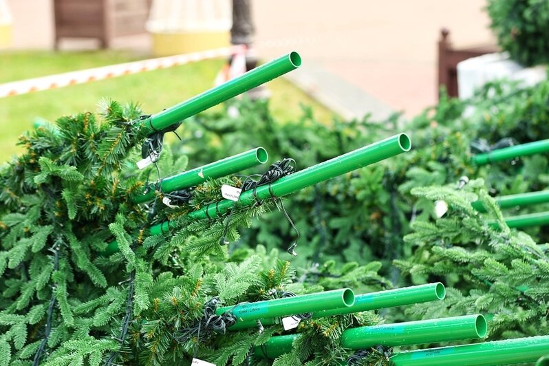 На площади Победы в Калининграде начал расти каркас будущей новогодней ёлки (фоторепортаж)  - Новости Калининграда | Фото: Александр Подгорчук / «Клопс»