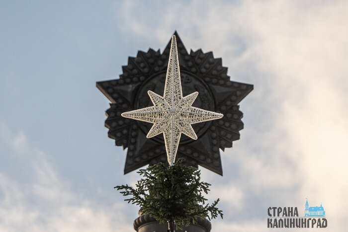 Монтаж новой новогодней ели - второй день. | Фото: Александр Мелехов