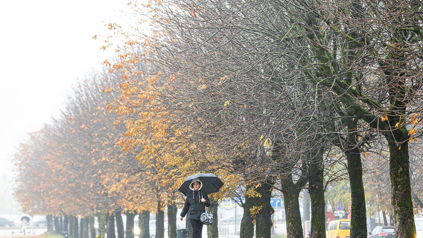 В среду дождь продолжит своё мокрое дело: прогноз погоды в Калининграде и области - Новости Калининграда | Фото: Александр Подгорчук / Архив «Клопс»