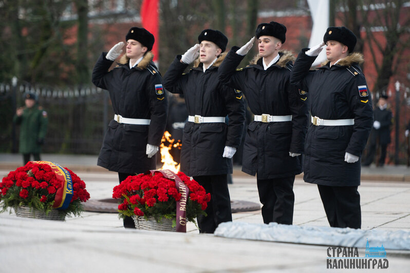 В акции приняли участие десятки калининградцев | Фото: Александр Мелехов