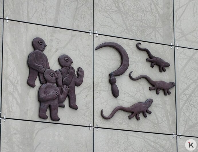 У калининградских хомлинов появилась «родня» на Урале (фото)   - Новости Калининграда | Фото: Ольга Плескань