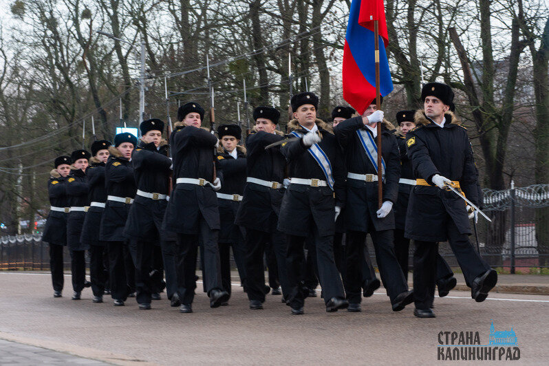 В акции приняли участие десятки калининградцев | Фото: Александр Мелехов