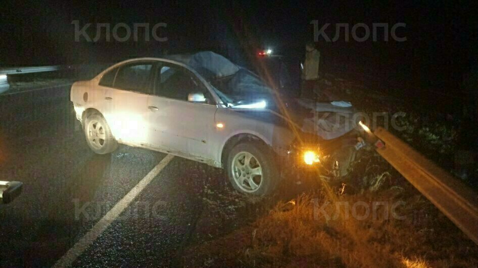 В Багратионовском районе легковушка насмерть сбила лося и врезалась в дорожное ограждение (фото) - Новости Калининграда | Фото очевидцев