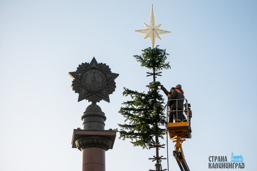 Как выглядит новая калининградская ёлка за 49 миллионов рублей (фото)