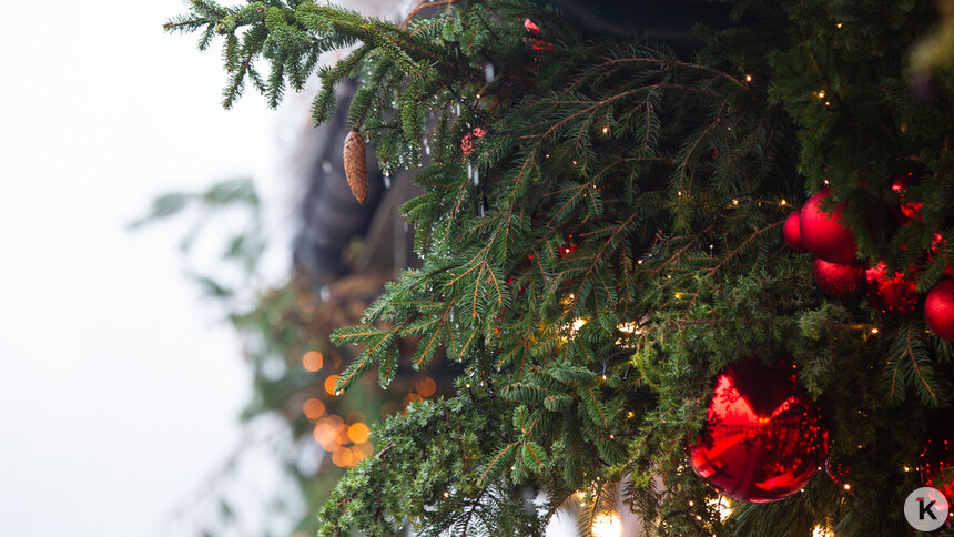 Член Общественной палаты РФ предупредил о штрафах за новогодние гирлянды на фасадах до 15 тыс. рублей   - Новости Калининграда | Фото: Александр Подгорчук / Архив «Клопс»