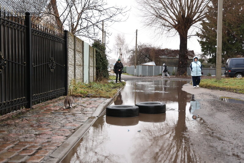Калининградские чиновники выслушали жалобы жителей Прегольского (фото) - Новости Калининграда | Фото: администрация Калининграда