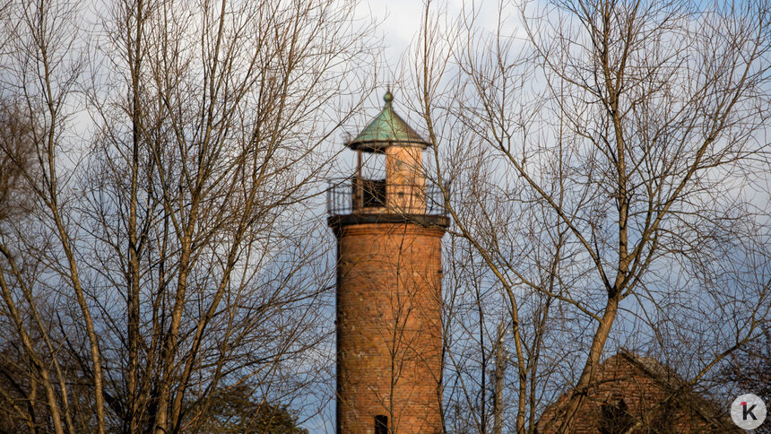 Дождь и мокрый снег: погода в Калининградской области в субботу, 13 декабря   - Новости Калининграда | Фото: Александр Подгорчук / Архив «Клопс»