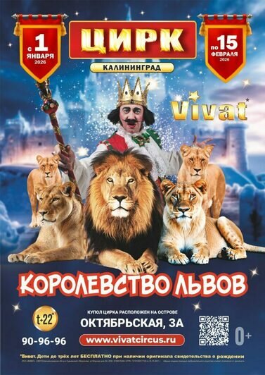 Цирк «Виват» запускает новогоднее шоу с королём-львом Ромбомболем XIII - Новости Калининграда