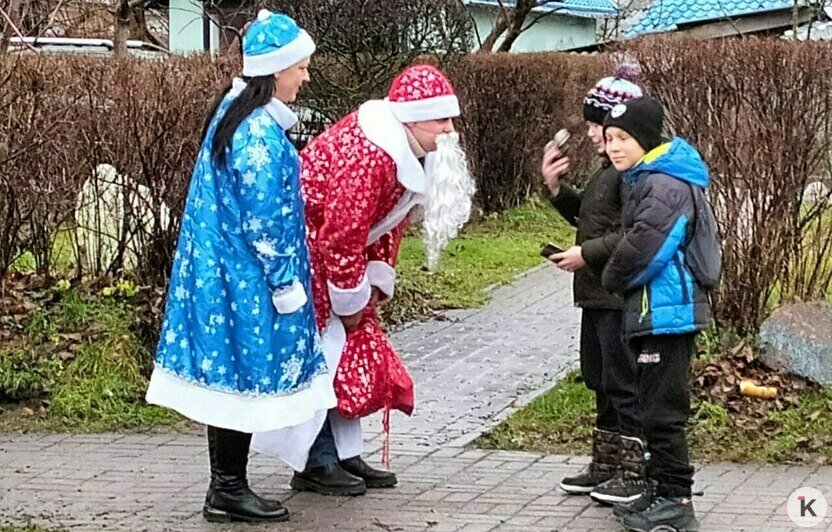 Калининградские грибники, чтоб поздравить с Новым годом детей в интернатах, собрали почти четверть миллиона   - Новости Калининграда | Фото: Николай Смирнов