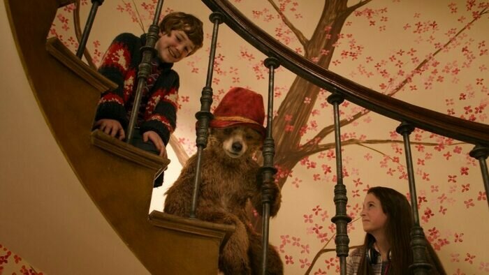 Лучший подарок, по-моему, мёд: 5 семейных фильмов ко Дню медведя - Новости Калининграда | Кадр из фильма «Приключения Паддингтона»