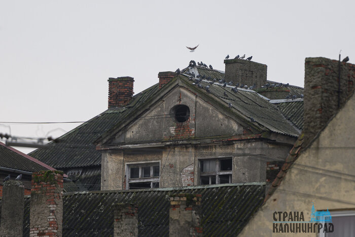 Черняховск. Повседневность в кадре