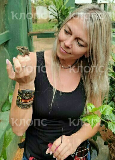 Хамелеона, черепаху и варана можно встретить на улице  | Фото: Юлия Тараско