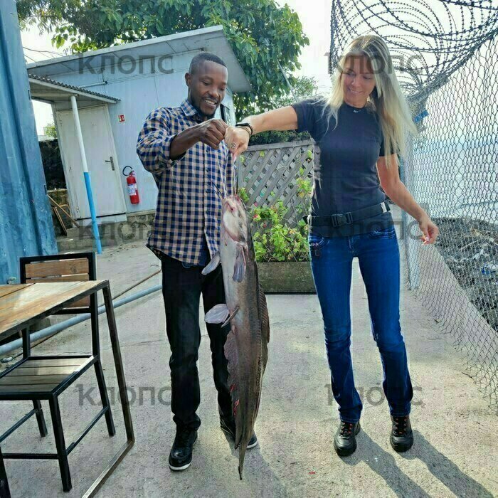 Улов из местного озера  | Фото: Юлия Тараско