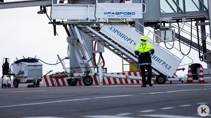 Новая ёлка на площади Победы, льготы для своих и авто не по карману: cобытия недели, которые обсуждали в Калининграде  - Новости Калининграда | Фото: Александр Подгорчук / Архив «Клопс»