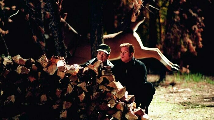 Список Гринча: 6 «взрослых» новогодних фильмов, которые не стоит смотреть всей семьёй - Новости Калининграда | Кадр из фильма «Поцелуй навылет»