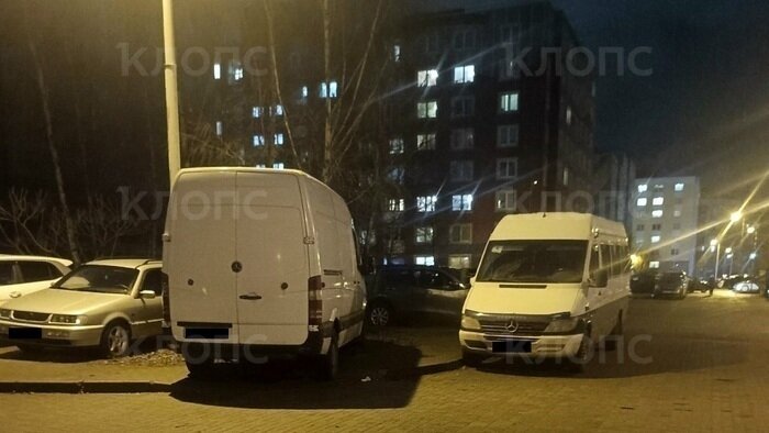 В центре Калининграда газоны раскатали в грязь: горожане жалуются властям, но получают отговорки (видео)   - Новости Калининграда | Фото: очевидцы