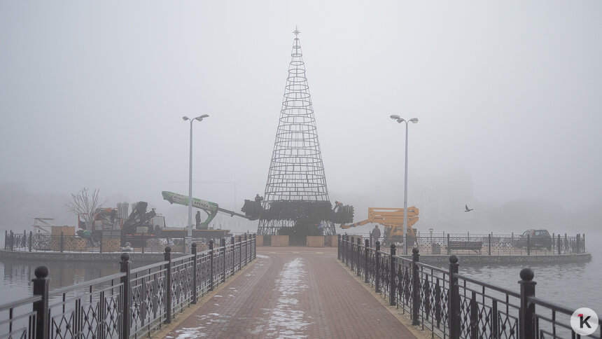 Погода в Калининграде и области в пятницу - Новости Калининграда | Фото: Александр Подгорчук / «Клопс»