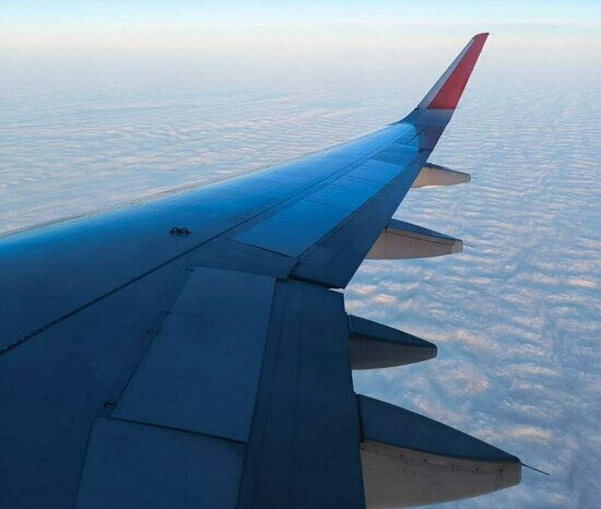 «От большинства калининградцев исходит позитив»: подруги из Новороссийска впервые побывали на Балтике и не пожалели   - Новости Калининграда | Фото: туристы из Новороссийска