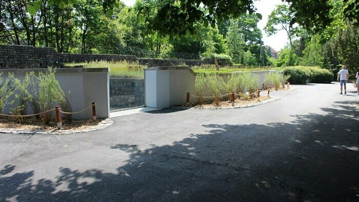 Смотровые стёкла на объекте «Дом старых медведей» | Фото: пресс-служба Калининградского зоопарка