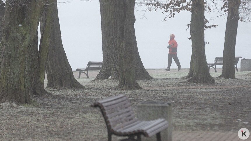 Погода в Калининграде и области в субботу  - Новости Калининграда | Фото: Александр Подгорчук / «Клопс»