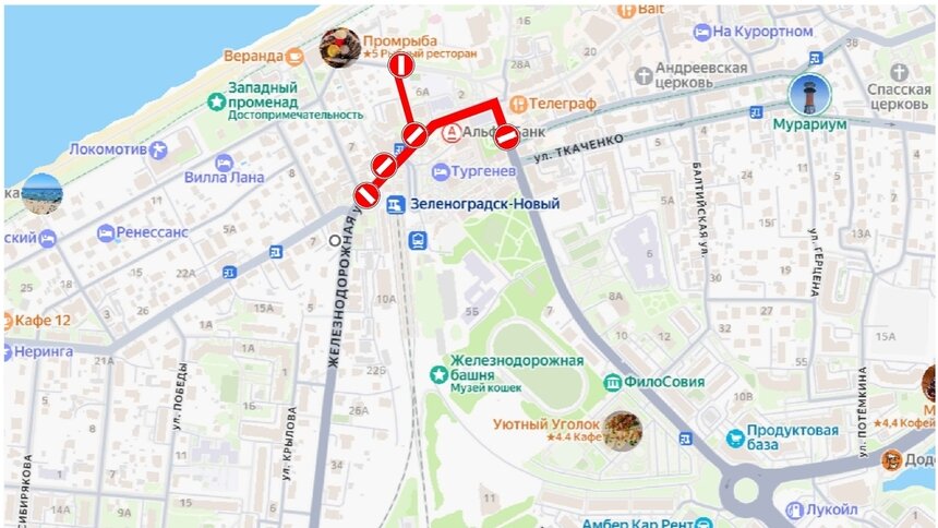 В Зеленоградске в новогоднюю ночь машины не будут пускать в центр города - Новости Калининграда | Схема: администрация Зеленоградского района