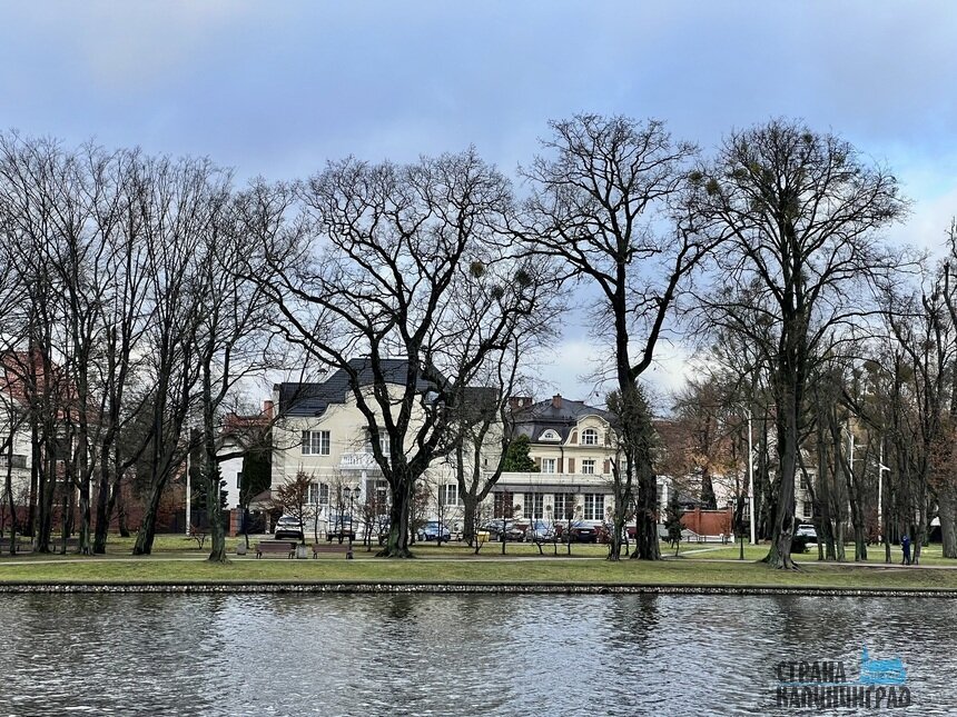 Метели и снегопады пока до нас не добираются | Фото: Оксана Сазонова