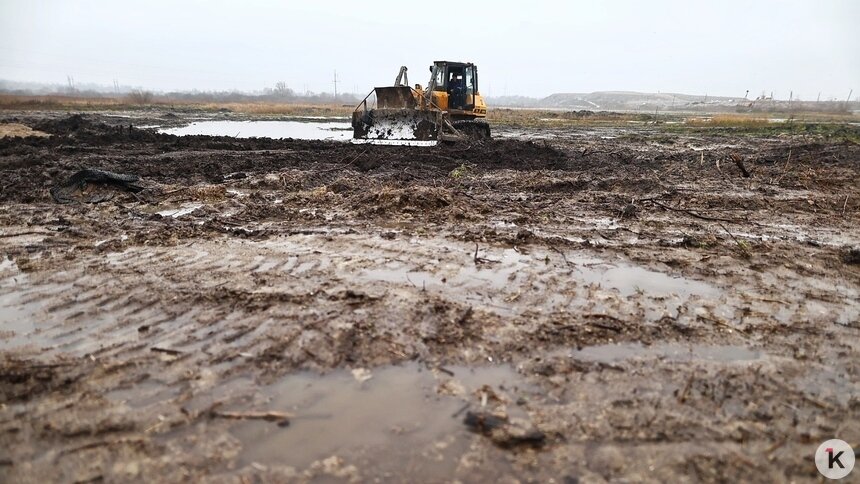 Калининградские власти рассказали, когда будет решаться судьба свалки в Барсуковке   - Новости Калининграда | Фото: Александр Подгорчук / Архив «Клопс»