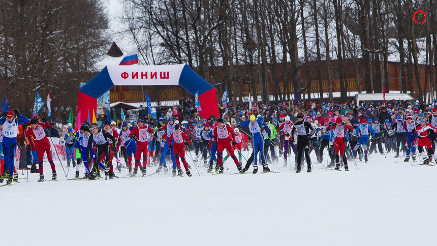 Ещё одна федерация допустила российских параатлетов к соревнованиям под флагом и гимном РФ - Новости Калининграда | Фото: Александр Подгорчук / Архив «Клопс»