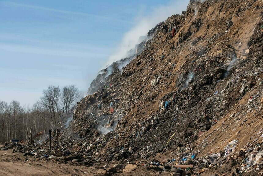 В будущем году закупят более 2,5 тысячи контейнеров для мусора. | Фото: архив &quot;СК&quot;