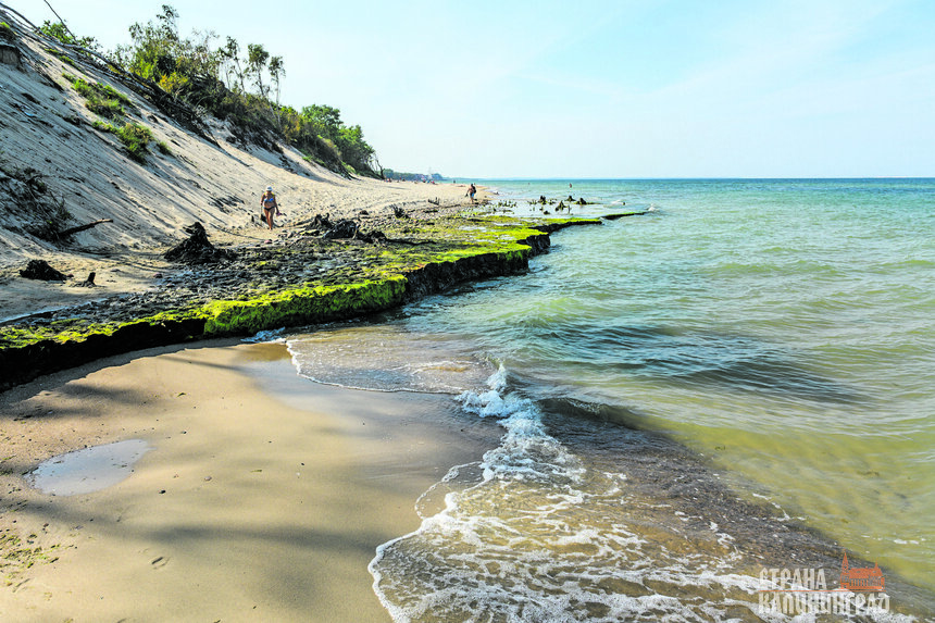 Куршская коса - объект ЮНЕСКО. | Фото: архив «СК»