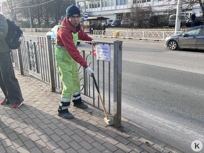 В Калининграде впервые сделали высокие платформы для трамваев: что изменилось для пассажиров (фото) - Новости Калининграда | Фото: «Клопс»