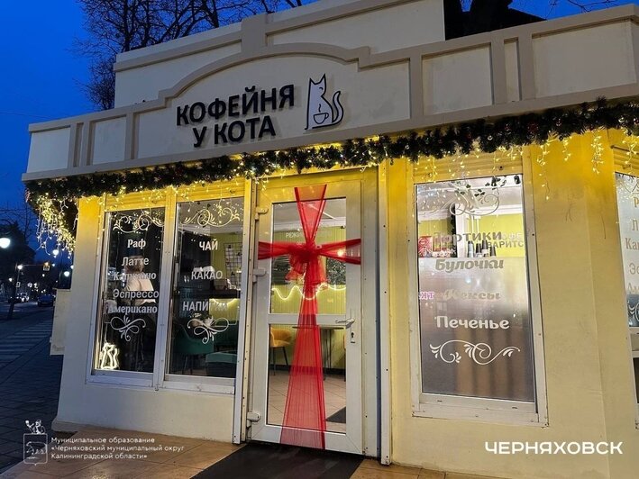 Пожарная машина и красный конь: 5 городов Калининградской области, где царит новогоднее настроение (фото, видео)   - Новости Калининграда | Фото: "Новый Черняховск" ВКонтакте