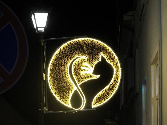 Пожарная машина и красный конь: 5 городов Калининградской области, где царит новогоднее настроение (фото, видео)   - Новости Калининграда | Фото: администрация Гвардейского муниципального округа