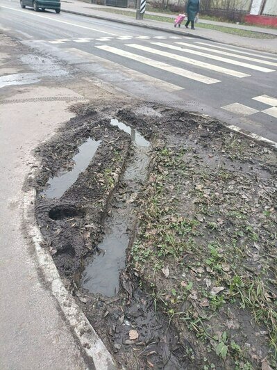 На Емельянова в Калининграде изуродовали газоны (фото)   - Новости Калининграда | Фото: «Клопс»