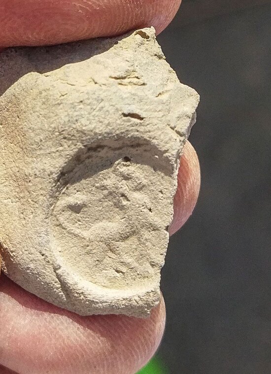 Российские археологи нашли в Ираке печать, которая переписала историю одного из главных конкурентов Вавилона  - Новости Калининграда | Фото: Уральский федеральный университет