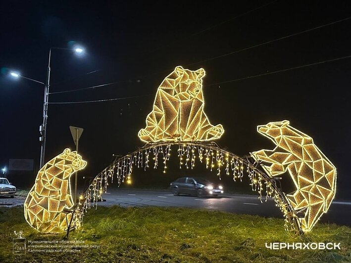 Пожарная машина и красный конь: 5 городов Калининградской области, где царит новогоднее настроение (фото, видео)   - Новости Калининграда | Фото: "Новый Черняховск" ВКонтакте
