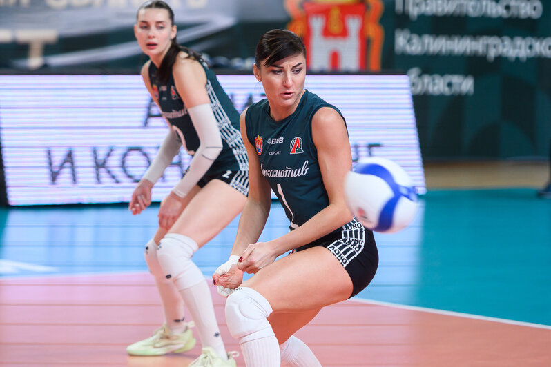 «Локомотив» одолел «Минчанку»: драматичная победа калининградской волейбольной команды (фото) | Фото: Александр Мелехов