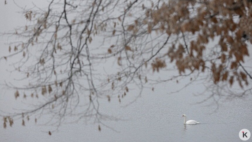 Погода в Калининграде и области в воскресенье - Новости Калининграда | Фото: Александр Подгорчук / «Клопс»