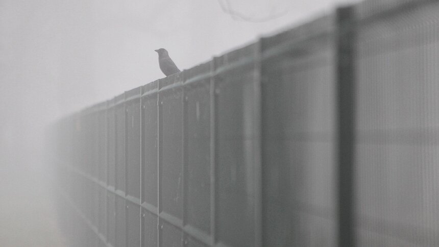 Из всех осадков останется туман: прогноз погоды в Калининграде и области на 16 декабря - Новости Калининграда | Фото: Александр Подгорчук / Архив «Клопс»