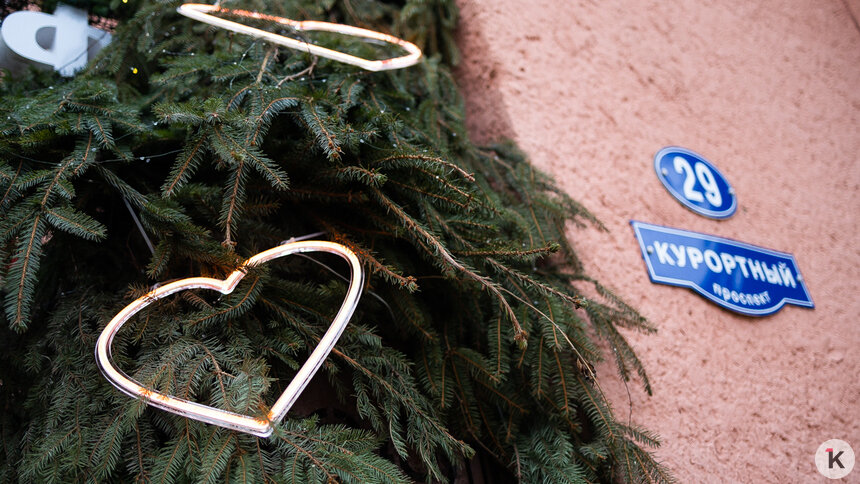 Новый глава Зеленоградска рассказал, как город будет привлекать туристов не только в сезон   - Новости Калининграда | Фото: Александр Подгорчук / Архив «Клопс»