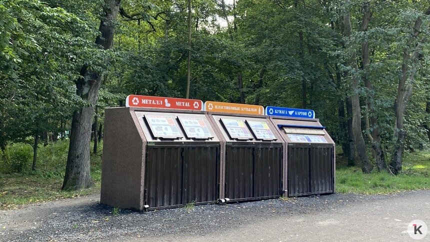 Калининградцам рассказали, куда идёт мусор из контейнеров для раздельного сбора  - Новости Калининграда | Фото: Александр Подгорчук / Архив «Клопс»