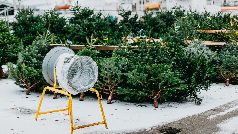 Праздник начинается здесь: в Калининграде стартовал легендарный ёлочный базар на Портовой - Новости Калининграда
