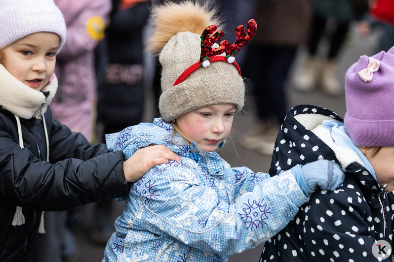 Дед Мороз приехал на поезде в два города Калининградской области (фоторепортаж)   - Новости Калининграда | Фото: Александр Подгорчук / «Клопс»