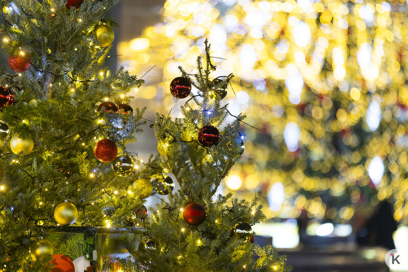 Засияла долгожданная: на площади Победы закончили оформление главной новогодней ёлки Калининграда (фоторепортаж)  - Новости Калининграда | Фото: Александр Подгорчук / «Клопс»