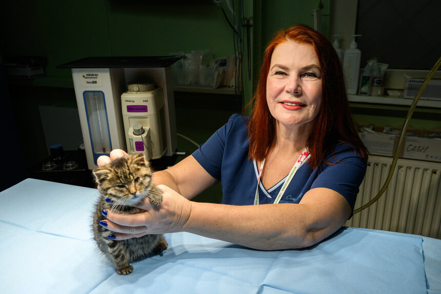 Генеральный директор Ветслужбы, ветеринарный врач Виолетта Фарафонтова: «Мы работаем на стыке науки и практики» | Фото: Александр Мелехов